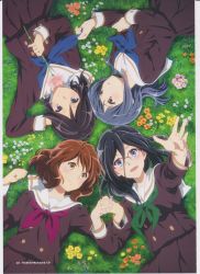Rule 34 | 4girls, absurdres, artist request, black hair, blue eyes, blue hair, blue neckerchief, blush, brown eyes, brown hair, brown shirt, brown skirt, closed mouth, curly hair, flower, from above, glasses, grass, green neckerchief, hands up, hibike! euphonium, highres, holding, holding flower, holding hands, imageboard desourced, kasaki nozomi, kitauji high school uniform, long hair, long sleeves, looking at another, looking at viewer, lying, multiple girls, neckerchief, non-web source, official art, on back, open mouth, oumae kumiko, outstretched arm, over-rim eyewear, parted lips, pleated skirt, ponytail, red-framed eyewear, red eyes, red neckerchief, sailor collar, school uniform, semi-rimless eyewear, serafuku, shirt, short hair, skirt, smile, tanaka asuka, white sailor collar, yoroizuka mizore
