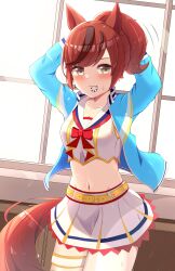 Rule 34 | 1girl, adjusting clothes, animal ears, arms up, belt, blue jacket, blush, breasts, brown eyes, cheerleader, cleavage, closed mouth, commentary request, cowboy shot, groin, hair between eyes, highres, horse ears, horse girl, horse tail, jacket, kumagitsune, looking at viewer, medium breasts, midriff, mouth hold, navel, nice nature (run&amp;win) (umamusume), nice nature (umamusume), official alternate costume, official alternate hairstyle, open clothes, open jacket, ponytail, red hair, solo, sweat, tail, thigh strap, umamusume, window, yellow belt