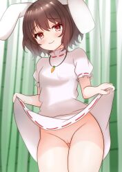 Rule 34 | 1girl, animal ears, bamboo, bamboo forest, blush, brown hair, carrot necklace, cleft of venus, closed mouth, clothes lift, colored eyelashes, commentary, cowboy shot, dress, dress lift, floppy ears, forest, gluteal fold, groin, highres, inaba tewi, jewelry, kasoka soka, looking at viewer, nature, necklace, no panties, pink dress, puffy short sleeves, puffy sleeves, pussy, rabbit ears, rabbit girl, red eyes, ribbon-trimmed dress, short hair, short sleeves, skirt, skirt lift, smile, solo, standing, touhou, uncensored