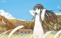 Rule 34 | 1girl, armpits, arms behind head, arms up, black hair, blue eyes, blue sky, building, censored nipples, cloud, collarbone, convenient censoring, cowboy shot, day, field, flat chest, floating hair, hair over breasts, hair ribbon, long hair, nature, navel, nude, original, outdoors, parted lips, ponytail, ribbon, roreru (rorerore-ya), signature, sky, solo, standing, tree, very long hair, wind