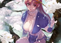 Rule 34 | 1girl, arm guards, breasts, brown eyes, brown hair, cherry blossoms, choker, cleavage, dead or alive, female focus, flower, in tree, japanese clothes, kasumi (doa), large breasts, long hair, looking at viewer, obi, panties, parted lips, pelvic curtain, petals, sasaoka gungu, sash, side-tie panties, sitting, sitting in tree, solo, thighhighs, tree, underwear, white thighhighs