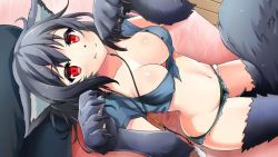 Rule 34 | 1girl, animal ears, animal hands, artist request, black hair, blue shirt, blush, breasts, claws, denim, denim shorts, fang, game cg, green panties, jewelry, long hair, looking at viewer, lyca (monster musume), medium breasts, midriff, monster musume no iru nichijou, monster musume no iru nichijou online, necklace, official art, panties, paw pose, red eyes, shirt, short shorts, shorts, solo, tail, underwear, wolf ears, wolf girl, wolf tail