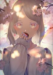 Rule 34 | 1girl, bad id, bad pixiv id, blurry, blurry background, blurry foreground, bow, brown eyes, cherry blossoms, commentary request, dappled sunlight, depth of field, earrings, flower, food, forehead, hand up, highres, holding, holding food, jewelry, light brown hair, long hair, long sleeves, looking at viewer, macaron, original, parted bangs, pink flower, puffy long sleeves, puffy sleeves, red bow, shii (kairi-t-k0317), shirt, sleeves past wrists, solo, sunlight, white shirt