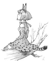 Rule 34 | 1girl, animal ears, bow, bowtie, branch, breasts, cat ears, cat girl, cat tail, closed mouth, commentary request, elbow gloves, full body, gloves, greyscale, high-waist skirt, highres, kemono friends, looking up, monochrome, natsu (rodysanp), serval (kemono friends), serval print, short hair, simple background, sitting, skirt, small breasts, tail, thighhighs, white background