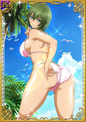 Rule 34 | 00s, 1girl, ass, beach, breasts, card (medium), curvy, female focus, green hair, huge ass, ikkitousen, kyocho chuukou, large breasts, looking at viewer, looking back, shiny skin, smile