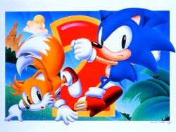 Rule 34 | 2boys, animal ears, black eyes, blue fur, blue sky, bmp-to-png conversion, closed mouth, cloud, fox boy, furry, furry male, gloves, hedgehog boy, multiple boys, multiple tails, official art, plant, red footwear, shoes, sky, sneakers, sonic (series), sonic the hedgehog, sun, tail, tails (sonic), two tails, water, white gloves