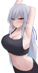 Rule 34 | 1girl, absurdres, armpits, arms up, black tank top, blush, breasts, cleavage, commentary, crop top, grey hair, highres, honkai: star rail, honkai (series), jingliu (honkai: star rail), large breasts, long hair, looking at viewer, midriff, namikare, navel, red eyes, solo, stomach, sweat, tank top, upper body, very long hair