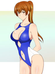Rule 34 | 1girl, breasts, brown eyes, brown hair, casual one-piece swimsuit, cleavage, cleavage cutout, clothing cutout, dead or alive, highres, kagemusha, kasumi (doa), large breasts, long hair, navel, navel cutout, one-piece swimsuit, solo, standing, swimsuit