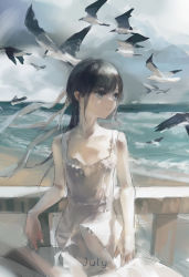 Rule 34 | 1girl, absurdres, against railing, bare shoulders, beach, bird, black hair, breasts, closed mouth, cloud, cloudy sky, commentary, commentary request, corrupted metadata, dress, english commentary, english text, expressionless, eyebrows, frilled dress, frills, grey eyes, hair ribbon, highres, leaning, leaning back, against railing, long hair, long ribbon, looking to the side, ocean, original, outdoors, railing, ramp, ribbon, sand, scenery, seagull, sidelocks, sky, small breasts, solo, standing, sundress, text background, water, waves, white bird, white dress, white ribbon, zygocactus