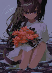 Rule 34 | 1girl, animal ears, bouquet, brown hair, cat ears, cat girl, cat tail, commentary request, dress, extra ears, flower, highres, holding, holding bouquet, ice, long hair, looking at viewer, original, parted lips, potg (piotegu), purple eyes, red flower, signature, sitting, sitting on water, soaking feet, tail, white dress