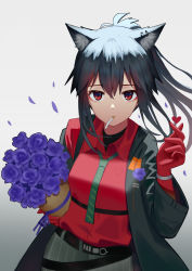 Rule 34 | 1girl, absurdres, animal ear fluff, animal ears, arknights, black hair, black jacket, bouquet, cigarette, commentary request, flower, gloves, gradient background, grey background, grey necktie, hair between eyes, hand up, highres, jacket, long hair, long sleeves, looking at viewer, mouth hold, necktie, official alternate costume, petals, purple flower, red eyes, red gloves, red shirt, shirt, solo, syouko jiaozijun, texas (arknights), texas (willpower) (arknights), upper body, wolf ears