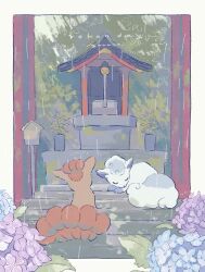 Rule 34 | alolan form, alolan vulpix, animated, architecture, artist name, blue flower, border, brown eyes, character name, closed eyes, creatures (company), east asian architecture, facing away, flower, flower pot, from behind, game freak, gen 1 pokemon, gen 7 pokemon, hashtag-only commentary, hydrangea, lantern, looking to the side, lying, nintendo, no humans, on stairs, outdoors, plant, pokemon, pokemon (creature), potted plant, purple flower, rain, shrine, sitting, sleeping, stairs, tagme, torii, u u, video, vulpix, white border, wooden lantern, yurano (upao)