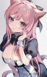 Rule 34 | 1girl, alternate costume, animal ears, bad id, bad pixiv id, belt, bow, breasts, cat ears, cat girl, cat tail, cleavage, commentary, commission, enmaided, eyelashes, final fantasy, final fantasy xiv, forehead, hair over shoulder, highres, light particles, long hair, looking at viewer, maid, medium breasts, miqo&#039;te, parted lips, pink eyes, pink hair, puffy short sleeves, puffy sleeves, shadow, short sleeves, simple background, skeb commission, solo, tail, vivi (eve no hakoniwa), warrior of light (ff14), white background, wrist cuffs