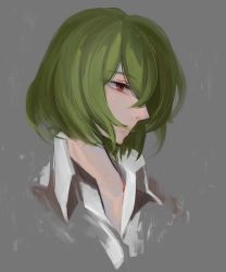 Rule 34 | 1girl, absurdres, collared shirt, green hair, grey background, hair over one eye, half-closed eye, highres, kageyosi, kazami yuuka, nose, parted lips, portrait, profile, red eyes, shirt, short hair, simple background, solo, touhou, uneven eyes, white shirt