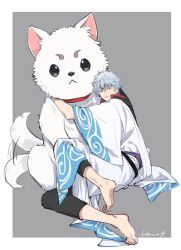 Rule 34 | 1boy, 6tnut9, :&lt;, afterimage, animal, artist name, barefoot, black pants, blue hair, closed mouth, commentary request, dog, gintama, grey background, grey eyes, hadanugi dousa, hair between eyes, japanese clothes, kimono, looking at viewer, male focus, open clothes, open kimono, pants, red eyes, sadaharu, sakata gintoki, short sleeves, signature, soles, tail, tail wagging, two-tone background, v-shaped eyebrows, white background, white kimono, wide sleeves