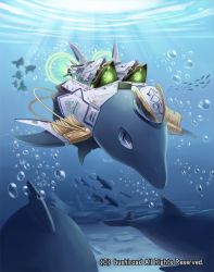 Rule 34 | blue eyes, bubble, cardfight!! vanguard, company name, dolphin, dolphin soldier of high speed raids, epaulettes, fish, hat, military, military hat, military uniform, official art, solo, tadokoro teppei, underwater, uniform