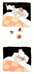 Rule 34 | 1boy, animal, animal on head, blanket, brown hair, cat, cat on head, closed mouth, english text, highres, lying, male focus, on head, original, panels, pillow, short hair, simple background, tofuvi