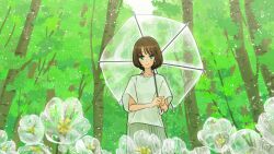 Rule 34 | 1girl, blue eyes, blush, brown hair, closed mouth, collarbone, cowboy shot, day, flower, forest, grey skirt, holding, holding umbrella, jewelry, long bangs, long sleeves, looking at viewer, matsumine (twin-mix), nature, original, outdoors, own hands together, pendant, plant, pleated skirt, rain, shirt, short hair, sidelocks, skirt, smile, solo, transparent, transparent umbrella, tree, umbrella, white flower, white shirt