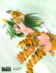 Rule 34 | 1girl, animal ears, animal hands, animal print, ass, boomerang, cat ears, cat tail, cham cham, earrings, fang, gloves, green eyes, green hair, highres, jewelry, kazami haruki, matching hair/eyes, no panties, paw gloves, paw shoes, pussy, pussy peek, samurai spirits, shoes, snk, solo, tail, tiger print, torn clothes
