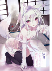 Rule 34 | 1girl, animal ears, black thighhighs, breasts, dengeki moeou, fang, fox ears, fox shadow puppet, fox tail, hair between eyes, highres, indoors, leaf, light smile, long hair, looking at viewer, maple leaf, minchi (lordofthemince), \n/, nipples, off shoulder, open clothes, open shirt, pale skin, shirt, small breasts, solo, tail, thighhighs, unbuttoned, white hair