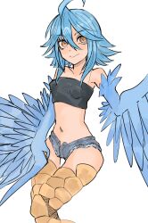 Rule 34 | 1girl, absurdres, ahoge, black tube top, blue feathers, blue hair, blue wings, breasts, closed mouth, feathered wings, feathers, feet out of frame, hair between eyes, hair over shoulder, harpy, highres, long bangs, looking at viewer, medium hair, monster girl, monster musume no iru nichijou, navel, nebula flabby, open fly, papi (monster musume), short shorts, shorts, sidelocks, simple background, small breasts, smile, solo, strapless, tube top, winged arms, wings, yellow eyes