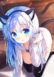 Rule 34 | 1girl, all fours, animal ear fluff, animal ears, black hairband, black thighhighs, blue eyes, blue hair, blurry, blurry background, blush, cat ears, cat tail, chinomaron, collarbone, commentary request, depth of field, fake animal ears, fang, gochuumon wa usagi desu ka?, gradient hair, hair ornament, hairband, highres, hood, hood down, hooded jacket, jacket, kafuu chino, long hair, looking at viewer, multicolored hair, no shoes, parted lips, signature, solo, tail, thighhighs, very long hair, white hair, white jacket, x hair ornament