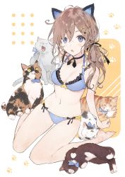 Rule 34 | 1girl, :o, animal, animal ears, bare shoulders, barefoot, bell, black bow, black choker, black ribbon, blue bow, blue bra, blue eyes, blue panties, bow, bra, breasts, brown hair, cat, cat day, choker, cleavage, collarbone, commentary, fake animal ears, full body, hair between eyes, hair ornament, highres, horiizumi inko, jewelry, leaning back, long hair, looking at another, looking at viewer, navel, neck bell, open mouth, original, panties, paw print, ribbon, side ponytail, simple background, sitting, small breasts, solo, stomach, symbol-only commentary, underwear, white background, white cat, yawning, yellow eyes