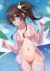 Rule 34 | 1girl, absurdres, ahoge, blush, bottomless, breasts, brown hair, cleft of venus, collarbone, cowboy shot, gluteal fold, green eyes, hair between eyes, hair ribbon, highres, hololive, licking lips, looking at viewer, natsuiro matsuri, navel, nipples, ontake2009, open clothes, open shirt, outdoors, pussy, ribbon, see-through, side ponytail, small breasts, smile, solo, standing, tongue, tongue out, virtual youtuber, water