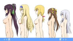 Rule 34 | 10s, 5girls, ahoge, blonde hair, blush, breasts, brown hair, bust chart, cecilia alcott, charlotte dunois, chart, cowboy shot, drill hair, flat chest, groin, hair between eyes, hair ribbon, hairband, height difference, huang lingyin, infinite stratos, large breasts, laura bodewig, lineup, long hair, mister (black and white), multiple girls, nipples, no eyepatch, nude, ponytail, profile, purple hair, ribbon, shinonono houki, sidelocks, silver hair, simple background, standing, twintails, very long hair, white background