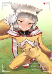 Rule 34 | 1girl, animal ears, blunt bangs, blush, bodysuit, breasts, closed eyes, facial mark, gloves, grass, half-closed eyes, hood, nia (xenoblade), nintendo, outdoors, recording, silver hair, small breasts, squatting, vekneim, viewfinder, watermark, wavy mouth, web address, white gloves, xenoblade chronicles (series), xenoblade chronicles 2, yellow eyes