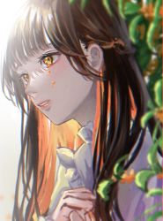 Rule 34 | 1girl, black hair, blunt bangs, brown hair, colored inner hair, crossed arms, crying, crying with eyes open, frills, highres, light rays, looking away, multicolored hair, orange eyes, orange hair, orev4xx, original, outdoors, portrait, sidelocks, solo, tears, upper body