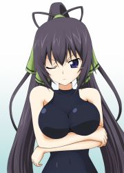 Rule 34 | 10s, 1girl, antenna hair, bare shoulders, black hair, blue eyes, blush, breast hold, breast lift, breasts, covered navel, crossed arms, gradient background, hair ribbon, halterneck, hip focus, impossible clothes, impossible leotard, infinite stratos, large breasts, leotard, long hair, looking at viewer, one eye closed, pilot suit, ponytail, ribbon, shinonono houki, solo, split ponytail, tscnk7, upper body, very long hair, wink