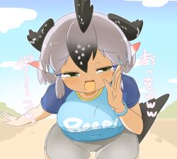 Rule 34 | 1girl, :d, animal ears, bird ears, bird tail, bird wings, black hair, blue shirt, blue sky, blush, breasts, commentary request, cowboy shot, day, greater roadrunner (kemono friends), grey hair, grey shorts, half-closed eyes, head wings, kemono friends, leaning forward, lets0020, looking at viewer, medium bangs, medium breasts, multicolored hair, open mouth, pointy ears, raglan sleeves, shirt, short hair, short sleeves, shorts, sky, smile, smug, solo, tail, translation request, wings
