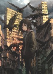 Rule 34 | 1girl, bird, black eyes, black hair, black pantyhose, blurry, building, city, cityscape, cloud, cloudy sky, crow, dark, depth of field, feathers, hands in pockets, highres, hood, hoodie, jacket, looking to the side, muted color, open mouth, original, outdoors, pantyhose, scenery, shorts, sky, solo, tokunaga akimasa, wind