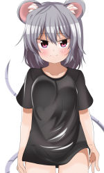 Rule 34 | 1girl, animal ears, blush, breasts, grey hair, highres, mouse ears, mouse tail, naked shirt, nazrin, nekoro (nekokabuto), no pants, red eyes, shirt, short hair, simple background, smile, solo, tail, touhou