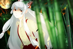 Rule 34 | 1girl, armband, bad id, bad pixiv id, bamboo, bamboo forest, big hair, blurry, bow, collared shirt, depth of field, expressionless, forest, fujiwara no mokou, full moon, hair bow, hands in pockets, long hair, long sleeves, looking at viewer, moon, nature, pants, puffy long sleeves, puffy sleeves, red pants, shirt, sideways glance, silver hair, solo, suspenders, touhou, uta/natika, very long hair