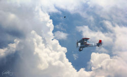 Rule 34 | aircraft, airplane, animal, biplane, bird, blue sky, clothed animal, cloud, cloudy sky, day, flying, highres, langbazi, no humans, original, outdoors, scenery, signature, sky, solo
