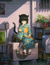 Rule 34 | 1girl, air conditioner, animal, animal ears, aquarium, ball, black cat, black hair, brown eyes, cat, cat ears, cat girl, cat tail, covered mouth, covering own mouth, eating, eyebrows hidden by hair, facial mark, full body, geta, highres, japanese clothes, kimono, long sleeves, looking at viewer, obi, original, outdoors, plant, plate, potted plant, sash, sho (sho lwlw), short hair, signature, sitting, socks, solo, tabi, tail, whisker markings, white socks, wide sleeves, yukata