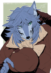 Rule 34 | 1boy, blue hair, claws, fate/grand order, fate (series), fingerless gloves, furry, furry male, gloves, green eyes, hat, unworn hat, unworn headwear, holding, holding clothes, holding hat, male focus, nishiyama (whatsoy), patxi (fate), solo, wolf