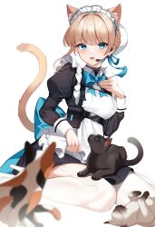 Rule 34 | 1girl, adjusting apron, animal, animal ear fluff, animal ears, animal on lap, apron, black cat, black dress, blonde hair, blue archive, blue bow, blue bowtie, blue eyes, blue ribbon, bow, bowtie, breasts, bun cover, calico, cat, cat ears, cat girl, cat tail, dress, earpiece, framed breasts, frilled apron, frills, hand on own chest, hand up, high heels, highres, kemonomimi mode, kiyochii, long sleeves, looking at viewer, maid, maid apron, maid headdress, medium breasts, on lap, open mouth, ribbon, simple background, sitting, solo, tail, tail raised, thighhighs, toki (blue archive), wariza, white apron, white background, white footwear, white thighhighs