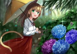 Rule 34 | 1girl, absurdres, akinakesu-chan, animal ear fluff, animal ears, blue flower, blurry, blurry background, blurry foreground, brown hair, cat ears, cat girl, cat tail, clothing cutout, collared shirt, commentary request, day, depth of field, flower, green eyes, highres, holding, holding umbrella, long sleeves, neck ribbon, original, outdoors, pink flower, puffy long sleeves, puffy sleeves, purple flower, rain, red ribbon, red skirt, ribbon, shirt, skirt, solo, tail, tail through clothes, umbrella, white shirt, yellow umbrella