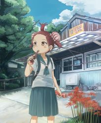 Rule 34 | 1girl, ari hinoko, backpack, bag, blue neckerchief, blue sailor collar, blue skirt, blue sky, blush, building, bun cover, cloud, cloudy sky, commentary request, day, drinking, fence, flower, forehead, holding, neckerchief, original, outdoors, pleated skirt, red flower, red hair, sailor collar, school uniform, serafuku, shirt, skirt, sky, solo, spider lily, standing, topknot, tree, twintails, white shirt, yellow eyes
