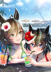 Rule 34 | 2girls, ahoge, alternate costume, bare shoulders, bikini, black hair, blue eyes, blue sky, blush, breasts, cleavage, cloud, cloudy sky, commentary request, cup, disposable cup, drinking, drinking straw, drinking straw in mouth, ear ornament, flower, green bikini, green eyes, hair between eyes, hair flower, hair ornament, hibiscus, highres, holding, holding cup, horse girl, katsuragi ace (umamusume), long hair, medium breasts, medium hair, mr. c.b. (umamusume), multicolored hair, multiple girls, otono (bkt4b), outdoors, parted lips, ponytail, red bikini, sky, streaked hair, swimsuit, umamusume, upper body, white hair