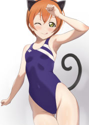 Rule 34 | !, 1girl, absurdres, animal ears, blue one-piece swimsuit, breasts, cat ears, cat tail, competition swimsuit, cosplay, cowboy shot, gluteal fold, gradient background, grey background, happy birthday, highleg, highleg swimsuit, highres, hoshizora rin, love live!, love live! school idol project, love live! sunshine!!, one-piece swimsuit, orange hair, short hair, simple background, small breasts, solo, swimsuit, tail, thigh gap, tongue, tongue out, watanabe you, watanabe you (cosplay), white background, yellow eyes, zanpon