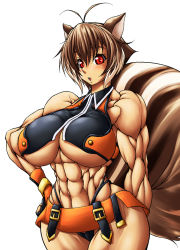 Rule 34 | 1girl, abs, animal ears, antenna hair, arc system works, blazblue, blazblue: continuum shift, blush, breasts, brown hair, extreme muscles, female focus, fingerless gloves, gloves, huge breasts, makoto nanaya, muscular, muscular female, purukogi (plasma beach), red eyes, simple background, solo, squirrel ears, squirrel tail, tail, underboob, white background