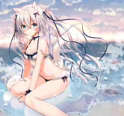 Rule 34 | 1girl, :t, animal, animal ears, bandaid, bandaid on leg, bare arms, bare shoulders, beach, bell, between legs, bikini, blue bikini, blue choker, blue eyes, blue ribbon, blue sky, blush, breasts, cat, cat ears, cat girl, cat tail, choker, cleavage, closed mouth, cloud, cloudy sky, collar, collarbone, commentary request, crossed bangs, fingernails, flower, flower on liquid, hair between eyes, hair flower, hair ornament, hair ribbon, halterneck, hand between legs, jingle bell, long hair, looking at viewer, md5 mismatch, medium breasts, mismatched bikini, navel, neck bell, ocean, original, outdoors, platinum (yadapot), pout, resolution mismatch, ribbon, sand, silver hair, sky, solo, source larger, sunset, swimsuit, tail, twintails, very long hair, water, white bikini, white flower, yadapot