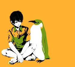 Rule 34 | 1boy, bad id, bad pixiv id, barefoot, bird, black hair, character request, flat color, male focus, nail polish, penguin, shiro (reptil), short hair, simple background, sitting, solo, tennis no ouji-sama