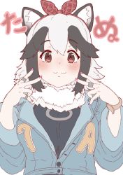 Rule 34 | 1girl, animal ears, bad id, bad twitter id, black hair, blush, brown eyes, closed mouth, double v, fingernails, fur collar, grey hair, hairband, hands up, heart, heart-shaped pupils, highres, jacket, jewelry, kemono friends, kumasyan1998, long sleeves, looking at viewer, multicolored hair, nail polish, official alternate costume, pink nails, raccoon ears, ring, shirt, smile, solo, symbol-shaped pupils, tanuki (kemono friends), two-tone hair, upper body, v