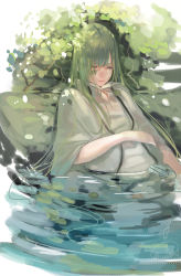 Rule 34 | 1boy, androgynous, closed eyes, closed mouth, enkidu (fate), fate/grand order, fate/strange fake, fate (series), green hair, hand on own stomach, leaf, long bangs, long hair, long sleeves, male focus, mizutame tori, partially submerged, plant, robe, rock, sidelocks, signature, sleeping, solo, toga, upper body, water, white robe