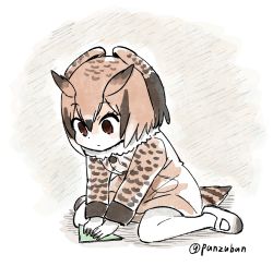 Rule 34 | 10s, 1girl, artist name, bird tail, brown eyes, brown hair, coat, commentary request, eurasian eagle owl (kemono friends), fur collar, head wings, kemono friends, long sleeves, multicolored hair, origami, pantyhose, panzuban, paper, short hair, sitting, solo, tail, twitter username, wariza, wings
